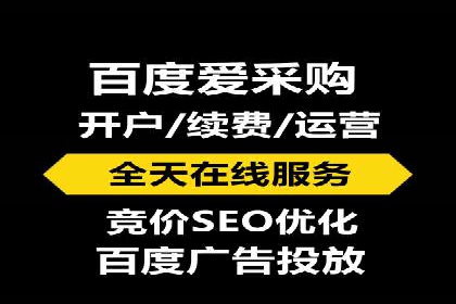 百度推广广告案例：快速抢占市场份额